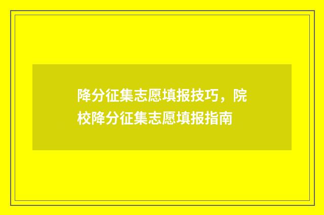 降分征集志愿填报技巧，院校降分征集志愿填报指南