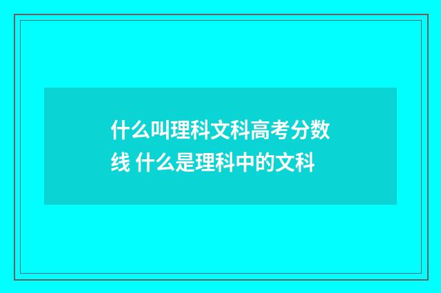 什么叫理科文科高考分数线 什么是理科中的文科