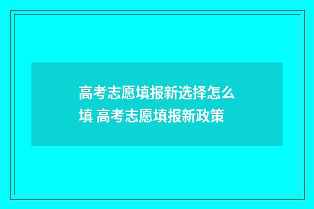 高考志愿填报新选择怎么填 高考志愿填报新政策