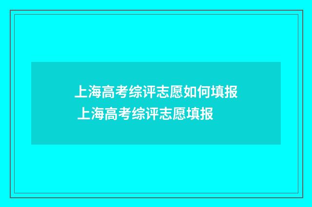 上海高考综评志愿如何填报 上海高考综评志愿填报