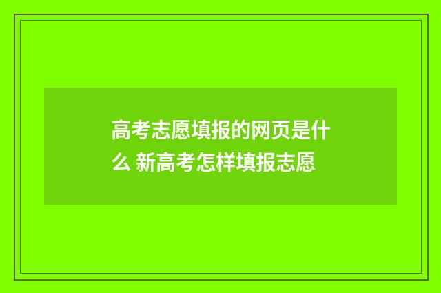 高考志愿填报的网页是什么 新高考怎样填报志愿