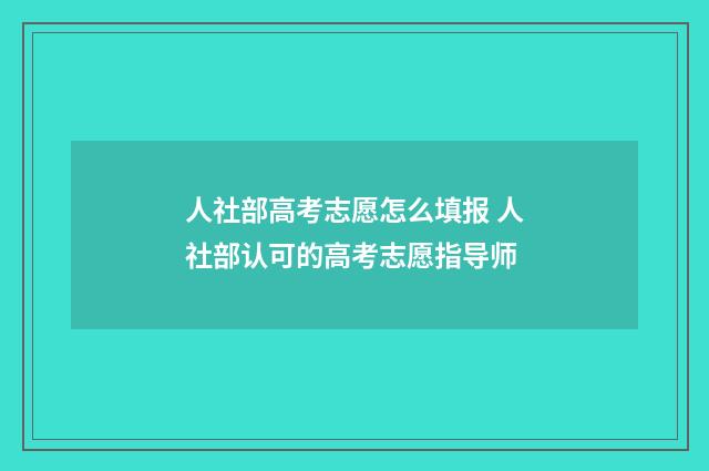 人社部高考志愿怎么填报 人社部认可的高考志愿指导师