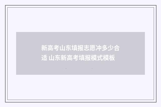 新高考山东填报志愿冲多少合适 山东新高考填报模式模板
