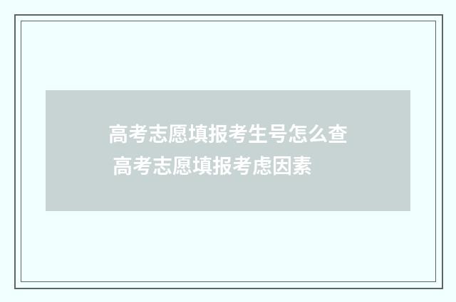 高考志愿填报考生号怎么查 高考志愿填报考虑因素
