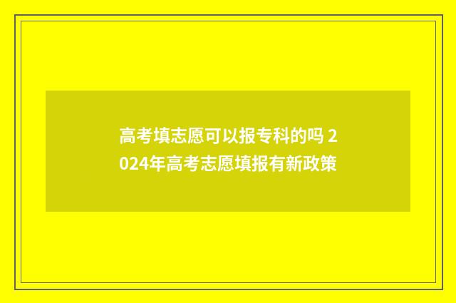 高考填志愿可以报专科的吗 2024年高考志愿填报有新政策