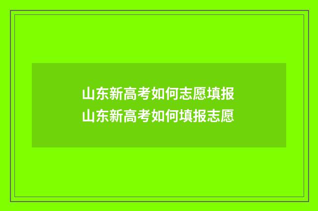 山东新高考如何志愿填报 山东新高考如何填报志愿