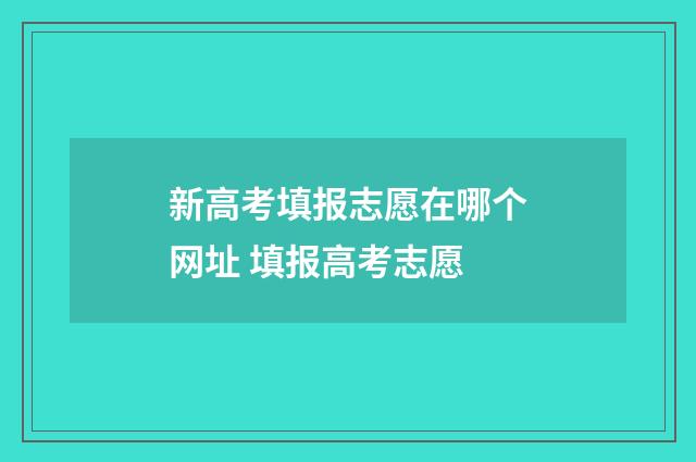 新高考填报志愿在哪个网址 填报高考志愿