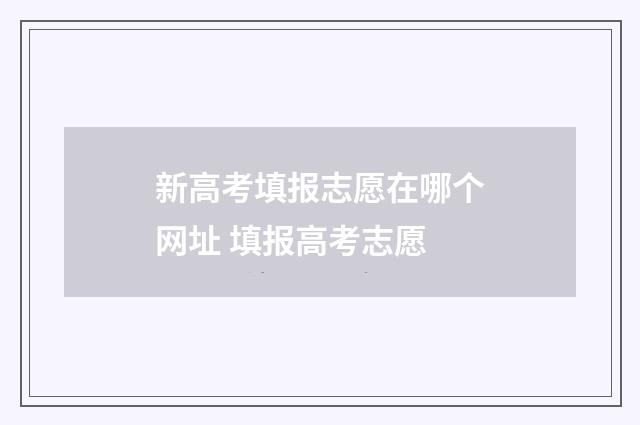 新高考填报志愿在哪个网址 填报高考志愿