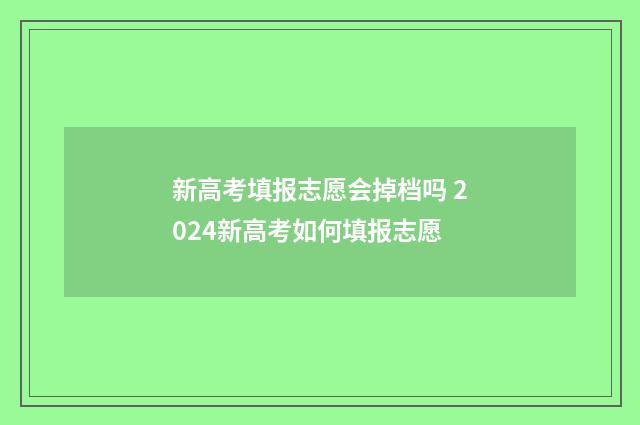 新高考填报志愿会掉档吗 2024新高考如何填报志愿