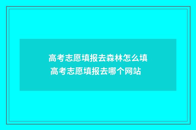 高考志愿填报去森林怎么填 高考志愿填报去哪个网站