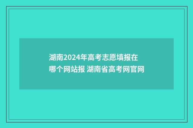 湖南2024年高考志愿填报在哪个网站报 湖南省高考网官网