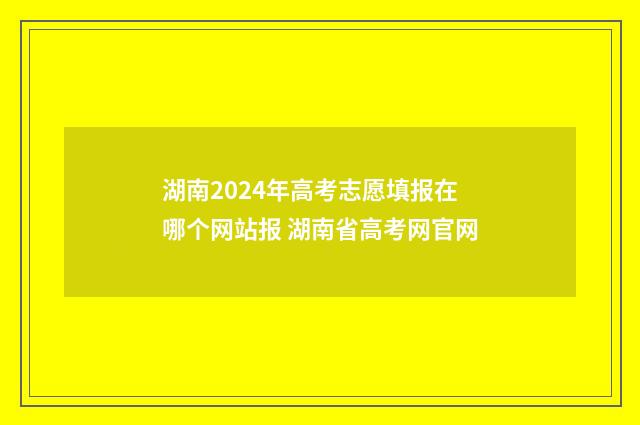 湖南2024年高考志愿填报在哪个网站报 湖南省高考网官网