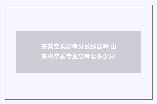 东营空乘高考分数线高吗 山东省空乘专业高考要多少分