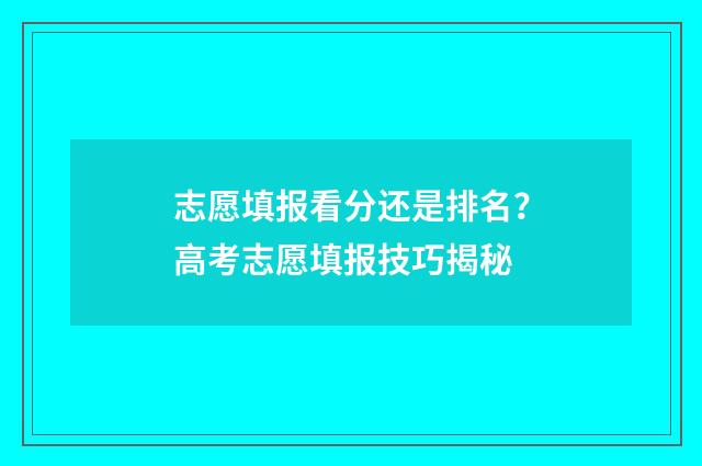 志愿填报看分还是排名？高考志愿填报技巧揭秘