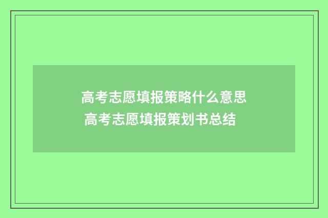 高考志愿填报策略什么意思 高考志愿填报策划书总结