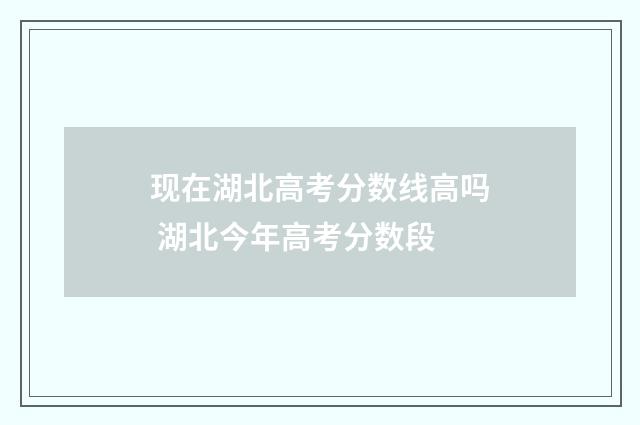 现在湖北高考分数线高吗 湖北今年高考分数段