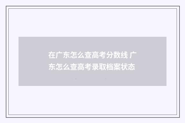 在广东怎么查高考分数线 广东怎么查高考录取档案状态