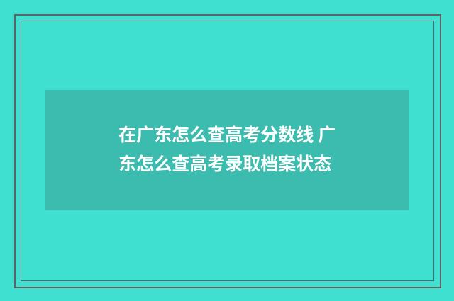 在广东怎么查高考分数线 广东怎么查高考录取档案状态