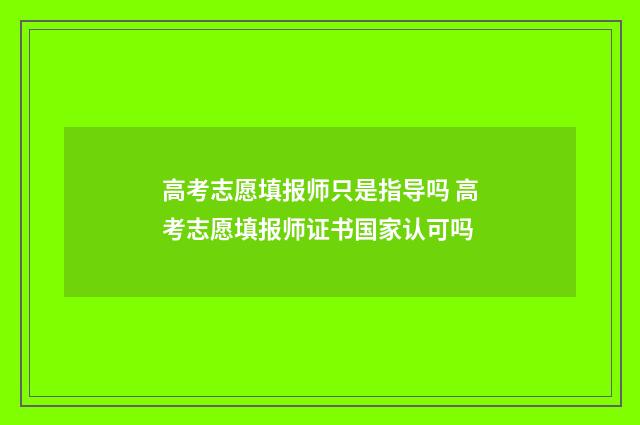 高考志愿填报师只是指导吗 高考志愿填报师证书国家认可吗