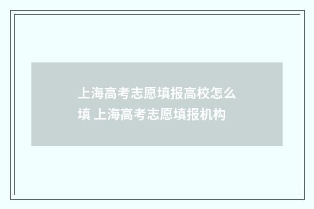 上海高考志愿填报高校怎么填 上海高考志愿填报机构