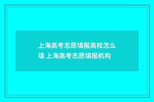 上海高考志愿填报高校怎么填 上海高考志愿填报机构