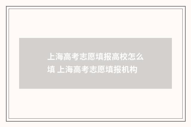 上海高考志愿填报高校怎么填 上海高考志愿填报机构