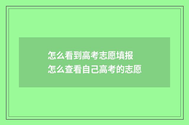 怎么看到高考志愿填报 怎么查看自己高考的志愿