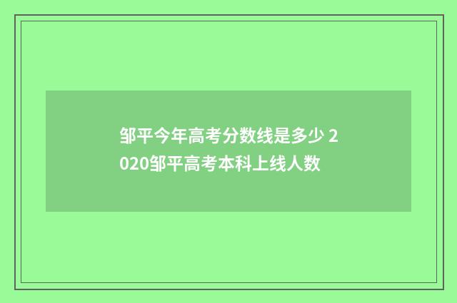 邹平今年高考分数线是多少 2020邹平高考本科上线人数