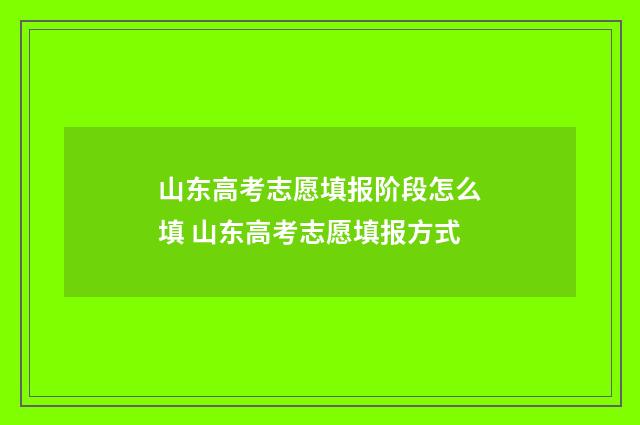 山东高考志愿填报阶段怎么填 山东高考志愿填报方式