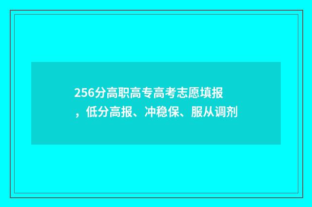 256分高职高专高考志愿填报，低分高报、冲稳保、服从调剂