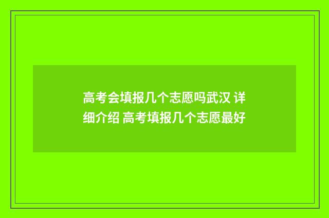 高考会填报几个志愿吗武汉 详细介绍 高考填报几个志愿最好