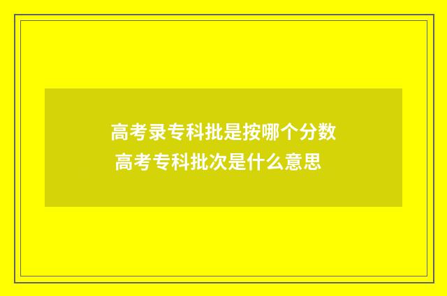 高考录专科批是按哪个分数 高考专科批次是什么意思