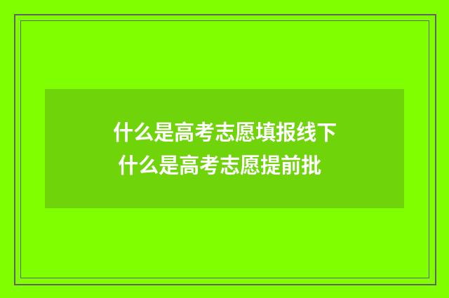 什么是高考志愿填报线下 什么是高考志愿提前批