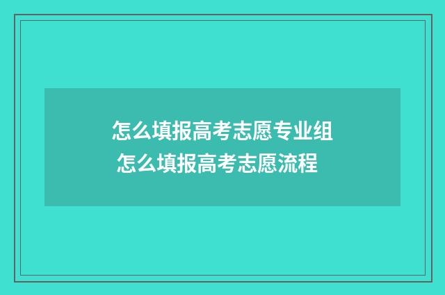 怎么填报高考志愿专业组 怎么填报高考志愿流程
