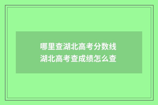 哪里查湖北高考分数线 湖北高考查成绩怎么查