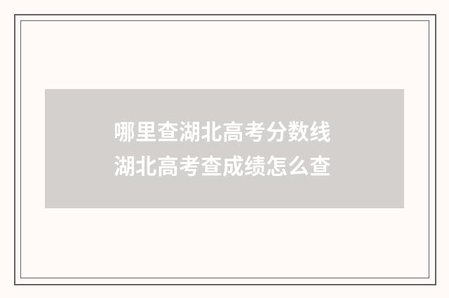 哪里查湖北高考分数线 湖北高考查成绩怎么查