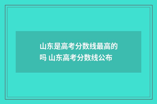 山东是高考分数线最高的吗 山东高考分数线公布