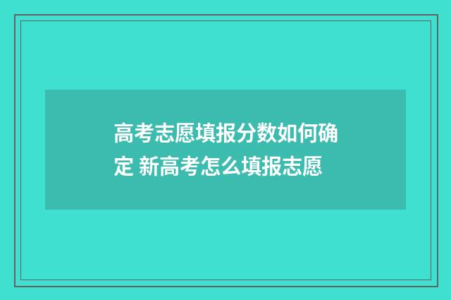 高考志愿填报分数如何确定 新高考怎么填报志愿