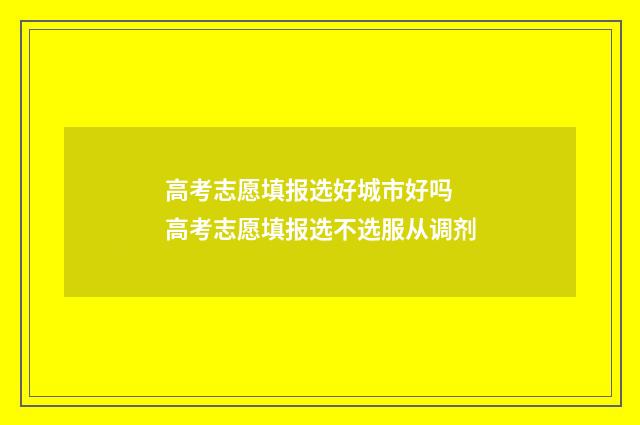 高考志愿填报选好城市好吗 高考志愿填报选不选服从调剂