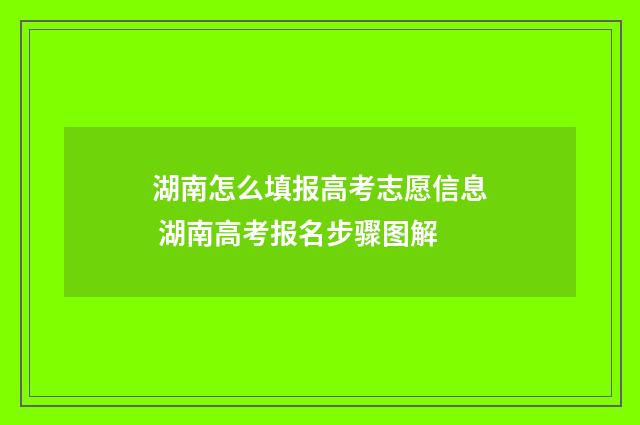 湖南怎么填报高考志愿信息 湖南高考报名步骤图解