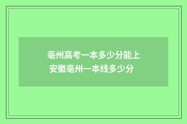 亳州高考一本多少分能上 安徽亳州一本线多少分