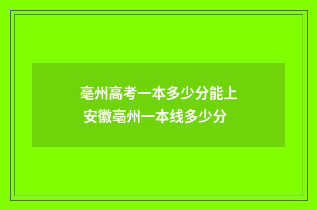 亳州高考一本多少分能上 安徽亳州一本线多少分