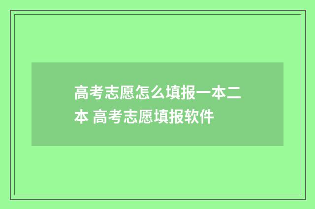 高考志愿怎么填报一本二本 高考志愿填报软件