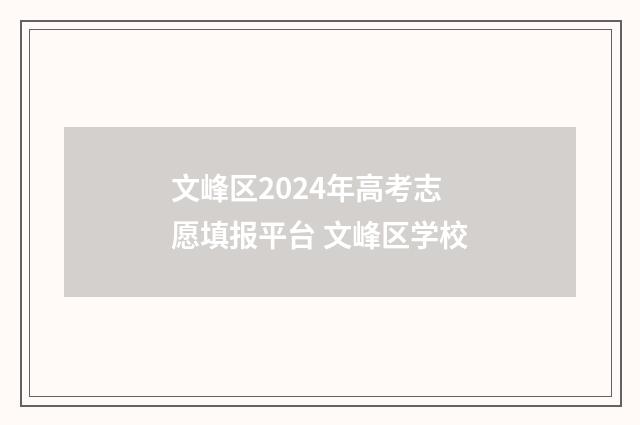 文峰区2024年高考志愿填报平台 文峰区学校