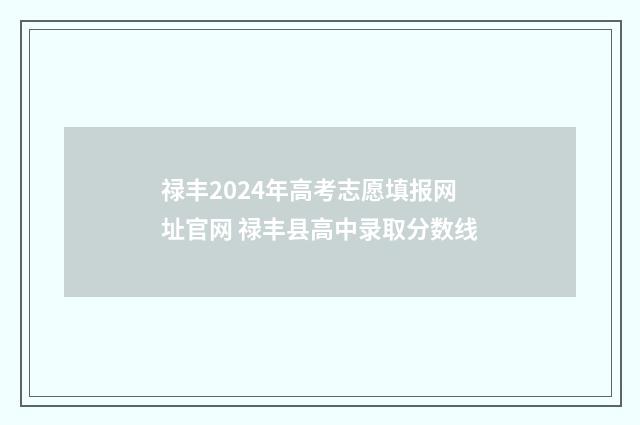 禄丰2024年高考志愿填报网址官网 禄丰县高中录取分数线