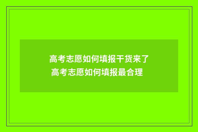 高考志愿如何填报干货来了 高考志愿如何填报最合理