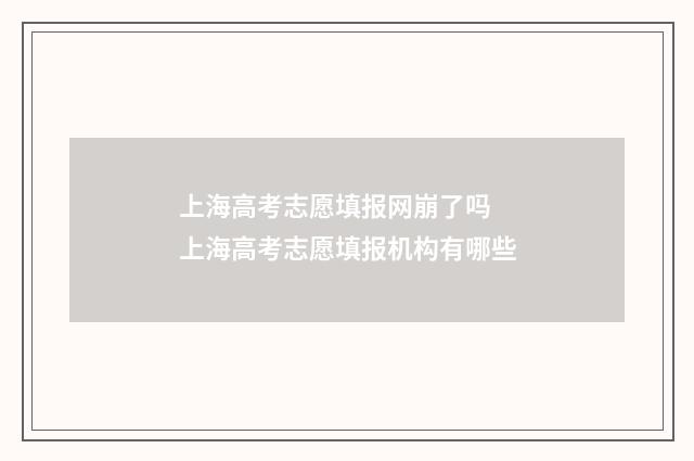 上海高考志愿填报网崩了吗 上海高考志愿填报机构有哪些
