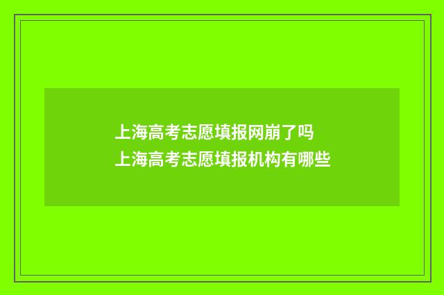 上海高考志愿填报网崩了吗 上海高考志愿填报机构有哪些