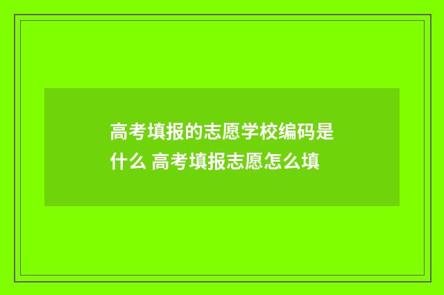 高考填报的志愿学校编码是什么 高考填报志愿怎么填