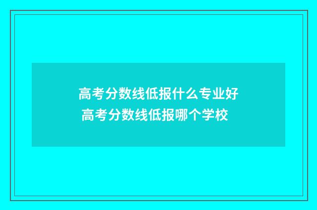 高考分数线低报什么专业好 高考分数线低报哪个学校